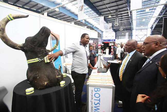 T1-A-young-Motswana-exhibiting-his-innovation-the-cattle-reflector-at-the-2015-Global-Expo-in-Gaborone.Pic-File
