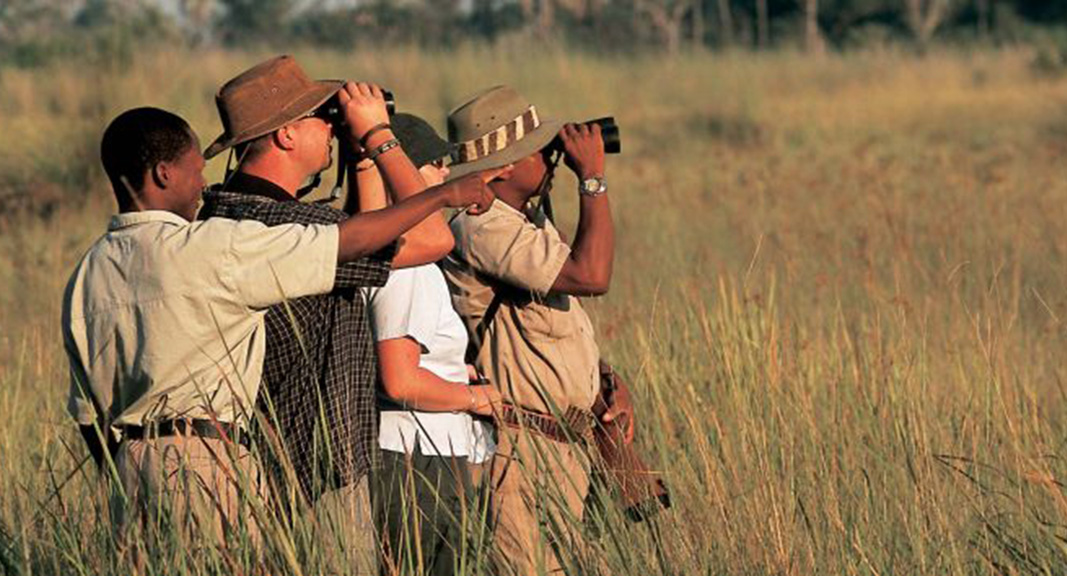 travelling worker in the bush