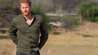 Prince Harry credits Botswana as his 'escape' after Diana's death